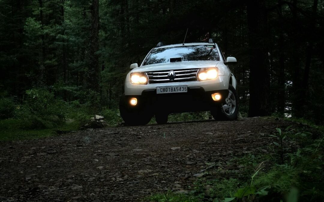 Gebruikte Renault of Dacia kopen? Hierop let je in het rapport van de kentekencheck